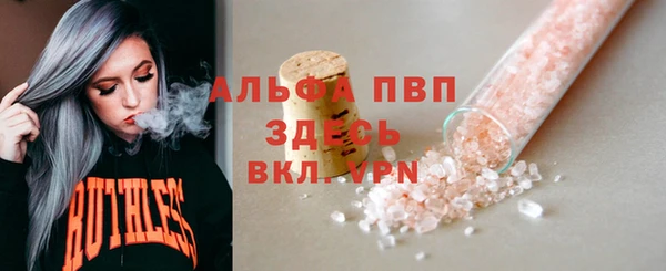 СК Алексин