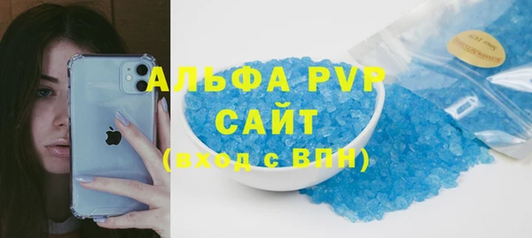 СК Алексин