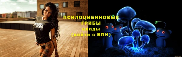 прущие грибы Армянск