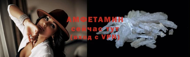 прущие грибы Армянск