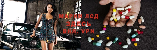 прущие грибы Армянск