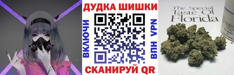 где продают наркотики  Волхов  Бошки Шишки планчик 